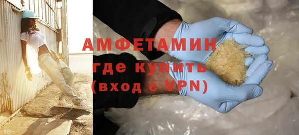 индика Абаза