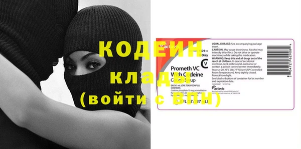 индика Абаза