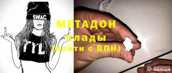 индика Абаза