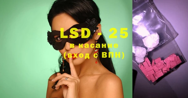 индика Абаза