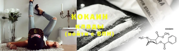 индика Абаза