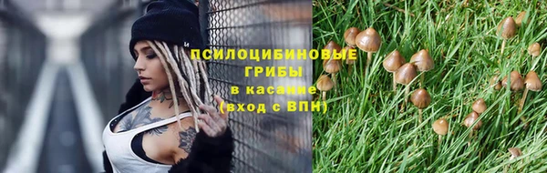 дмт Абинск