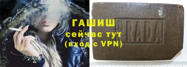 индика Абаза