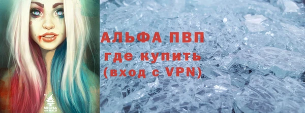 индика Абаза