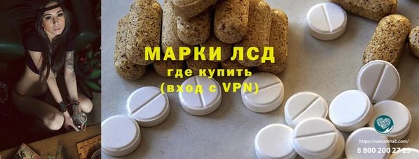 индика Абаза