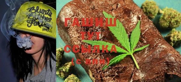 индика Абаза