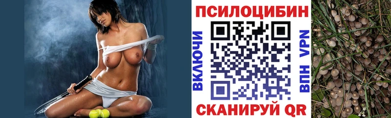 Галлюциногенные грибы мицелий  Шумиха 